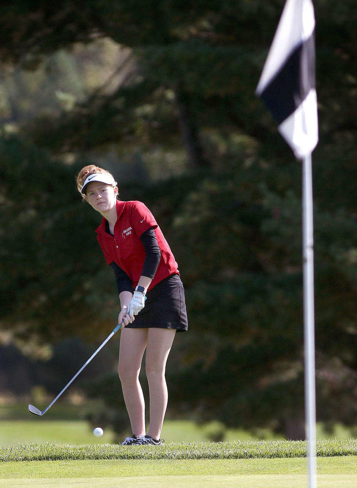 October 6: GIrls WIAA Division 2 sectional golf